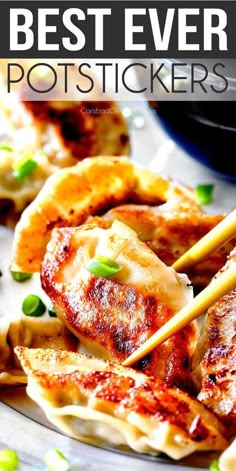 the best ever pot stickers