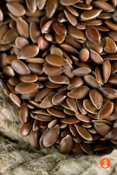 a pile of sunflower seeds sitting on top of burlocked material with an orange logo above it