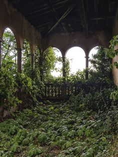 an abandoned building with ivy growing on the ground