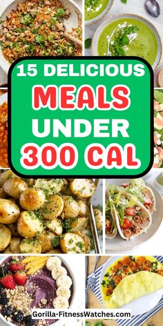 15 delicious meals under 300 cal