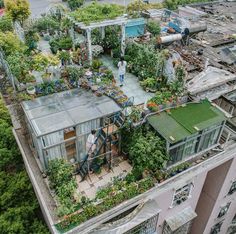 an aerial view of a rooftop garden in the city