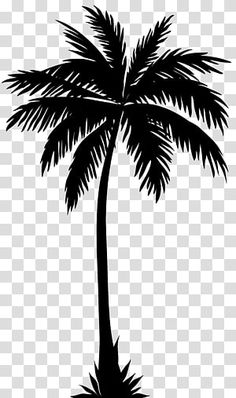 a black and white silhouette of a palm tree on a transparent background png clipart