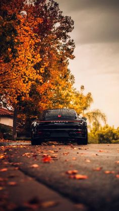 a black sports car parked in front of a tree with fall leaves on the ground