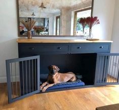 a dog laying on top of a blue crate