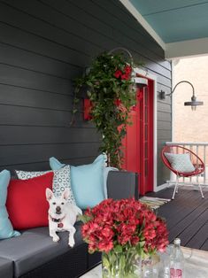 a small dog is sitting on the porch with red and blue pillows in front of it