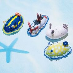 four different sea animals are laying on the ground next to a starfish and an airplane