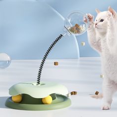 a white cat standing on its hind legs and pawing at a bubble shaped object