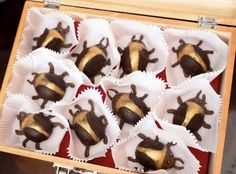 there are many chocolate covered bugs in the box