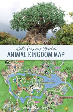 an animal kingdom map with the words wild disney world on it and a tree in the background