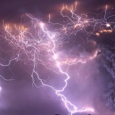 lightning strikes through the night sky above trees