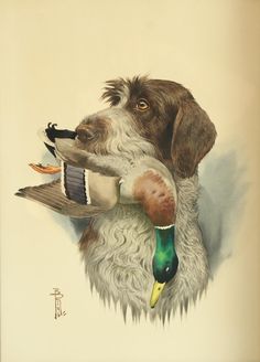 a drawing of a dog with a duck in its mouth