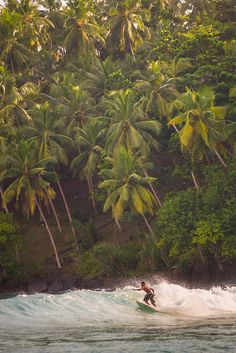 a man riding a wave on top of a surfboard in front of palm trees