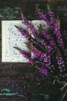 purple flowers and an open book on a wooden table