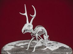 an animal skeleton is standing on top of a rock with antlers in its mouth