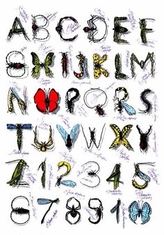 the letters and numbers are drawn with different types of bugs, moths, and insects