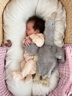 a baby is sleeping on a pillow with a stuffed animal