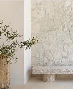 two vases with flowers in them sitting next to a stone bench near a wall