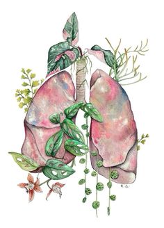 a watercolor drawing of the lungs and flowers