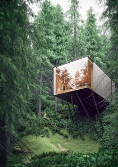 a tree house in the middle of a forest with lots of trees and bushes around it