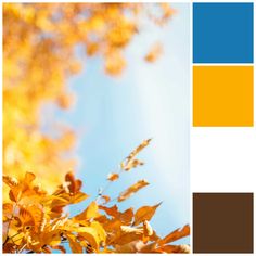 yellow leaves against a blue sky and white background with color swatches in the foreground