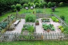 a garden with many different types of vegetables