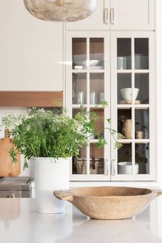 a kitchen counter with two white vases filled with plants