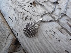 "Seashell necklace...1 1/2\" tall with bail by 1\" wide at the widest spot, cast and antiqued in sterling silver 925, great detail....the chain is 18\" long also in sterling silver 925...seashell weights 8.1 grams and chain weights 5 grams" Handmade Sterling Silver Shell-shaped Necklace, Silver Sterling Silver Shell Pendant Necklace, Unique Silver Shell-shaped Necklace, Silver Sterling Silver Pendant Shell Necklace, Unique Shell-shaped Silver Necklace, Handmade Silver Shell Necklace As Gift, Seashell Necklace, Necklace Handmade, Handmade Necklaces