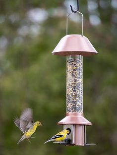 two birds are flying near a bird feeder that is hanging from a pink metal pole