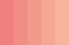 a pink color palette with different shades