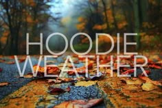 the words hoodie weather are overlaided with leaves in front of a road