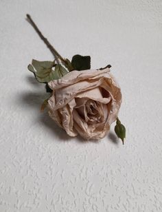 a single pink rose sitting on top of a white table