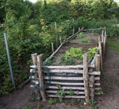 a wooden fence with plants growing in it