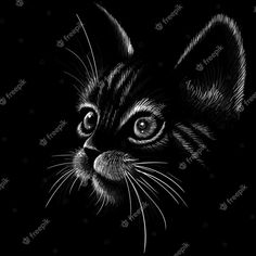 a black and white drawing of a cat's face with big eyes on a dark background