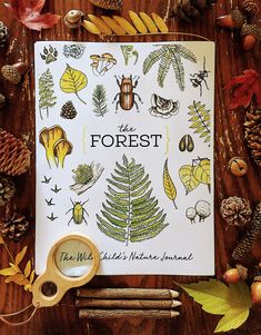 a forest book surrounded by autumn leaves and pine cones