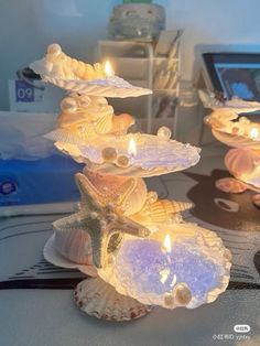 three seashells are lit up with candles