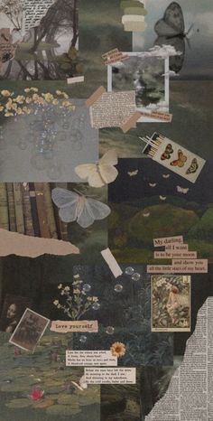 an altered collage of pictures and text on newspaper paper with butterflies, flowers, books