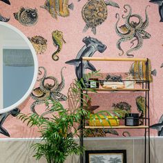 a pink wall with an octopus and seahorse pattern on it, next to a potted plant