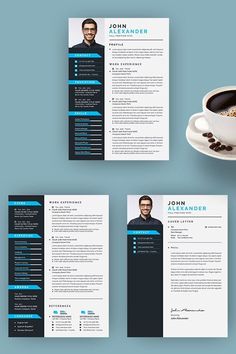 the professional resume template is ready to be used for any job