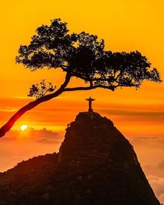 a lone tree on top of a mountain at sunset