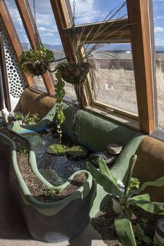 a planter filled with lots of plants next to a window