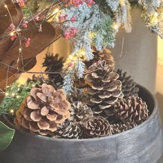 some pine cones are sitting in a bucket