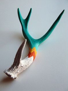 a bird's beak with multicolored feathers on top of white tablecloth