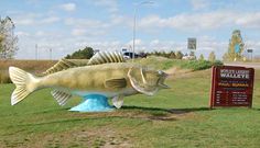 a large fish statue sitting on top of a lush green field next to a sign