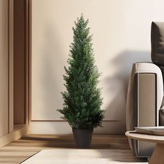 a potted plant sitting on top of a wooden floor next to a chair and table