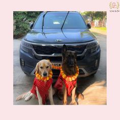 two dogs sitting next to each other in front of a car