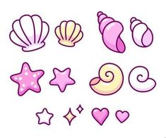 different sea shells and starfishs on white background