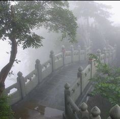 a bridge that is surrounded by trees in the fog