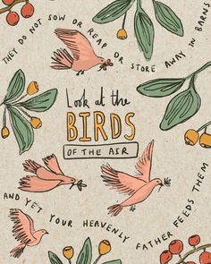 birds flying around an orange tree with leaves and berries on it, in the background are words that read look at the birds of the air