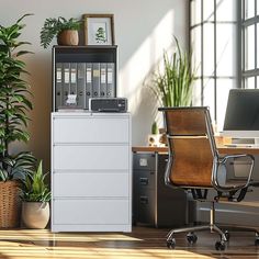 an office with a filing cabinet, chair and potted plant on the desk in front of it