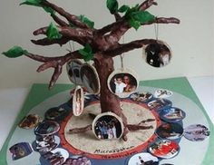 a tree with many pictures hanging from it's branches and some leaves on top